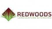 Redwoods Landscapes