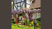 Porter's Garden Maintenance