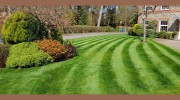 Forever Green Gardening Services