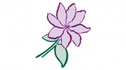 Pennells Garden Centre