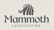 Mammoth Services