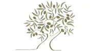 Olive Tree Garden Design