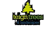 Teign Trees