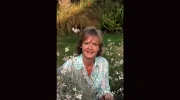 Rhoda Maw Garden Design