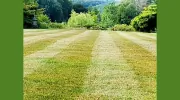 Premier Gardens