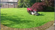 Adorable Gardens
