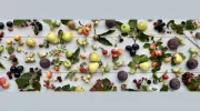 The Gluttonous Gardener