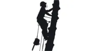 Cultiv-8 Tree & Garden Services