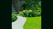 The Gentleman Gardener
