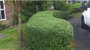 Clean Cut Gardening