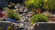 Allmark Garden Services & Landscaping