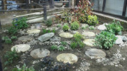 South & West London Garden Services